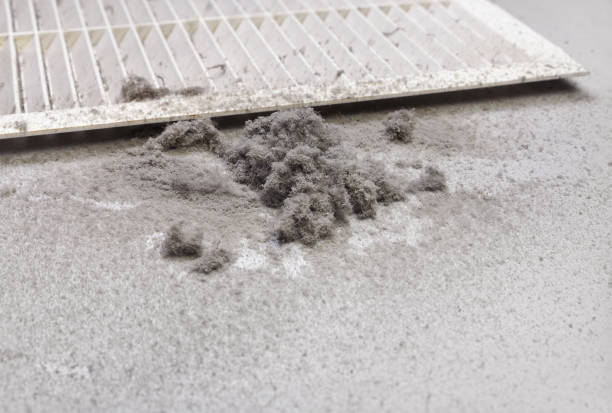 Best Air Duct Cleaning Company Near Me  in Fruit Cove, FL