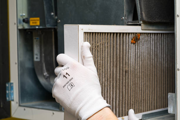 Best Best Air Duct Cleaning Company  in Fruit Cove, FL